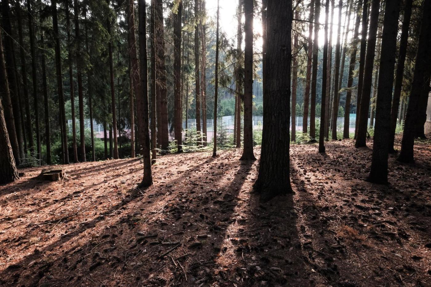 Hotel Kouty Ledeč nad Sázavou Esterno foto