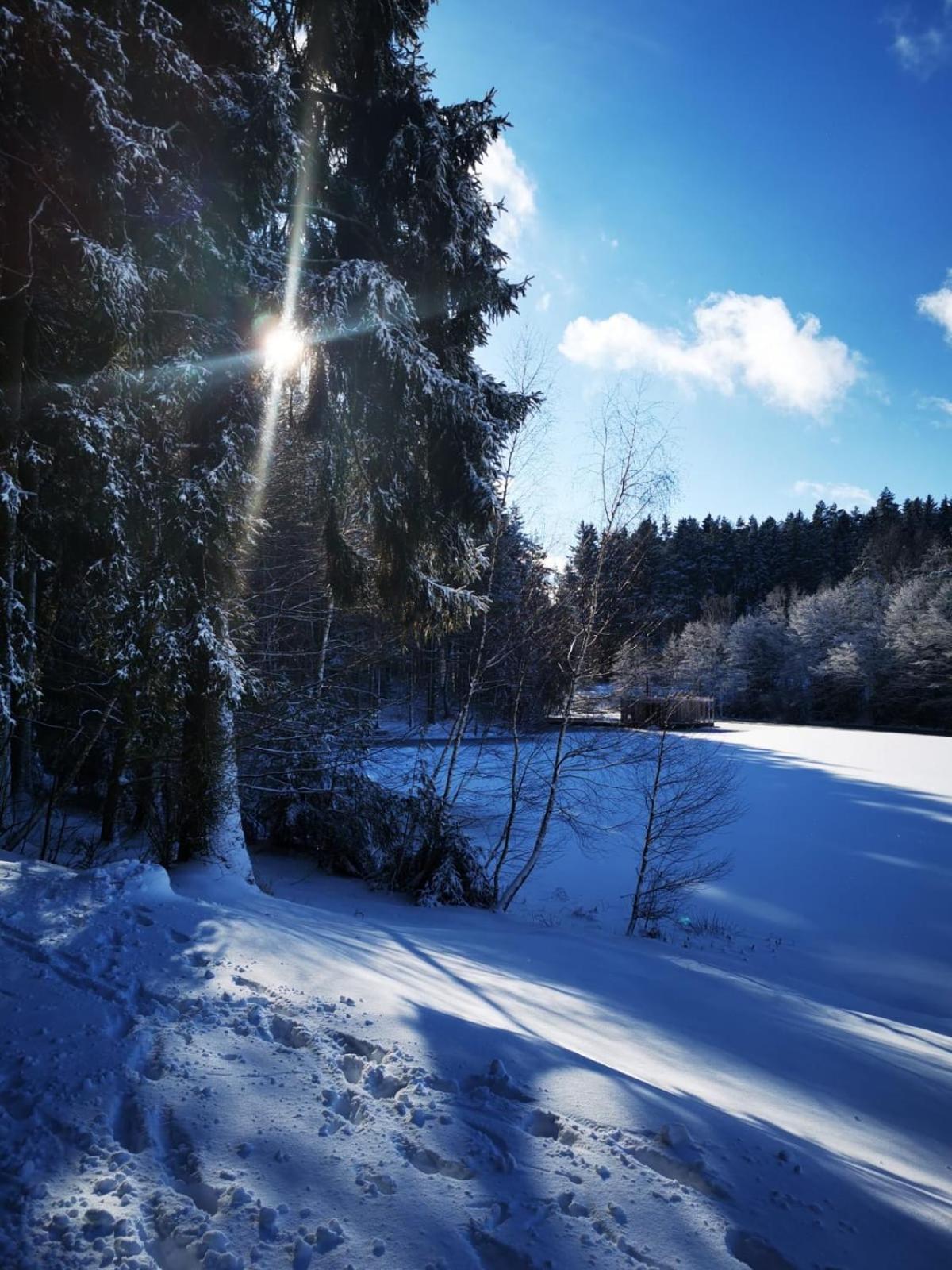 Hotel Kouty Ledeč nad Sázavou Esterno foto