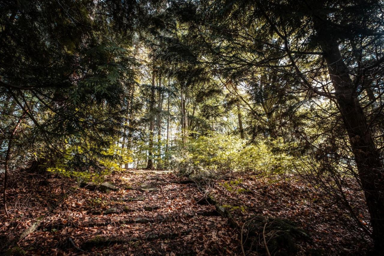Hotel Kouty Ledeč nad Sázavou Esterno foto